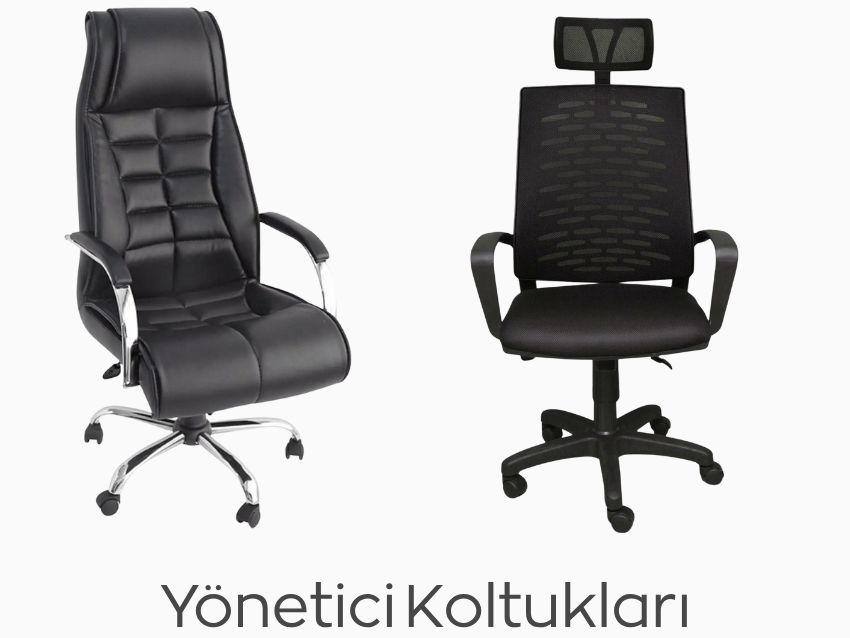 Yönetici Koltukları